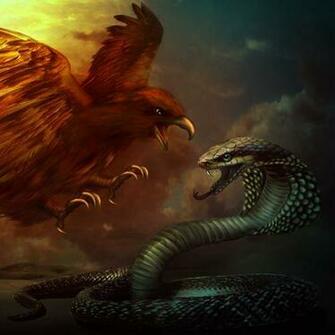 HD Eagle Vs Cobra Wallpaper