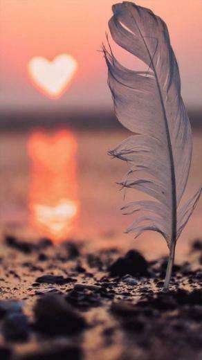 Weijun Li On Photograph In Pretty Wallpaper