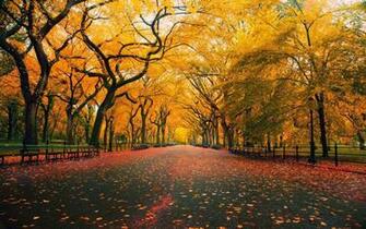 Late Autumn Desktop Themes HD Wallpaper Widescreen