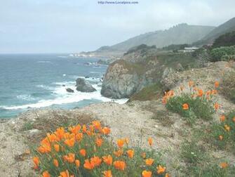 Big Sur Desktop Wallpaper