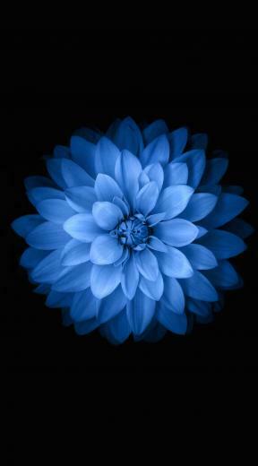 Blue Black Flower Wallpaper Sc iPhone6plus