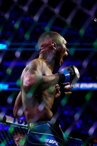 Mma Ufc Pereira Vs Adesanya Junkie