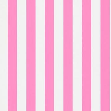 Mimi Stripe Wallpaper All About Me