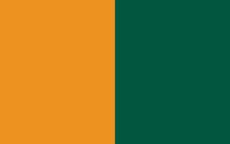 Carrot Orange And Castleton Green Solid Two Color Background