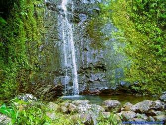Hawaiian Wallpaper