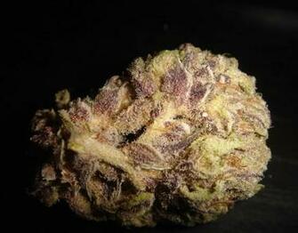 Blackberry Kush Bud HD Weed Wallpaper