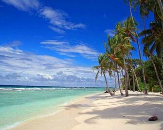 Hawaiian Beach Wallpaper