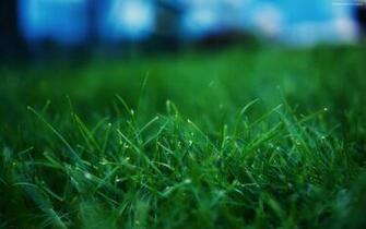 High Definition Image Photography Royalty