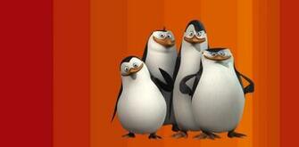 Wallpaper Penguins Of Madagascar Photo