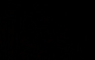 Black Wallpaper Desktop Windows