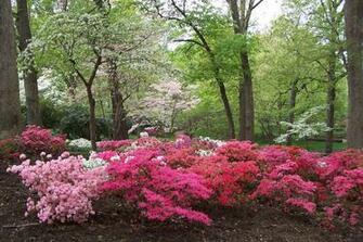 Spring Scenery Wallpaper