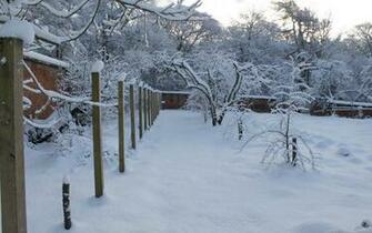 Winter Wonderland Pictures Wallpaper