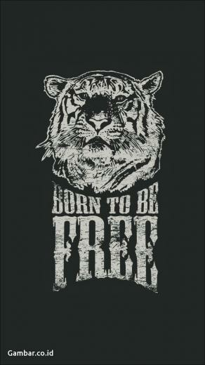 Gambar Wallpaper Supreme Born To Be Tiger