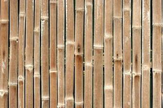 Nature Bamboo Brown HD Wallpaper