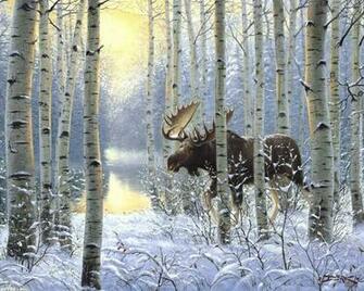 Animal Cold Moose In Winter Forest Animals Other HD Wallpaper