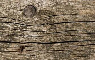 Cracked Old Wood Wallpaper