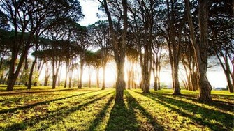 Nature HDtv 1080p Wallpaper HD Background