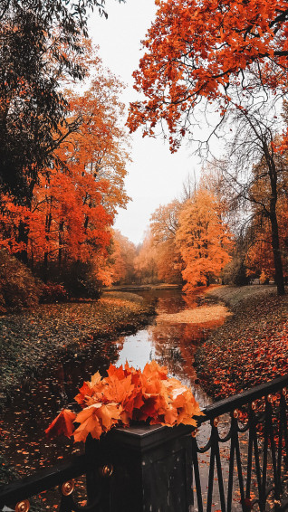 Dope Cozy Fall Aesthetic Wallpaper