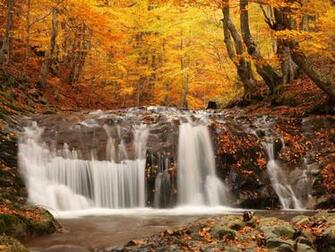 Scenery Wallpaper Background Photos Image And Pictures For