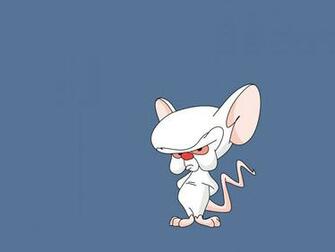 Pinky And The Brain Computer Wallpaper Desktop