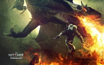 The Witcher Assassins Of Kings Enhanced Edition Re