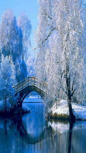 Winter iPhone Wallpaper