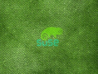 Suse Wallpaper HD Wide Linux Background Flesh For Fantasy