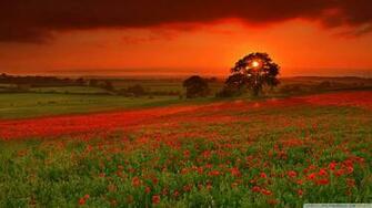 Wallpaper Beautiful Summer Landscape 1080p HD Upload At