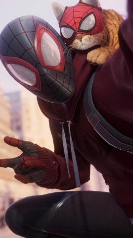 Spider Man Miles Morales Bodega Cat HD 4k Wallpaper