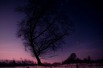Winter Night Sky By Mcgraczu