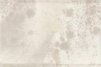 White Cream Birds Wallpaper Border