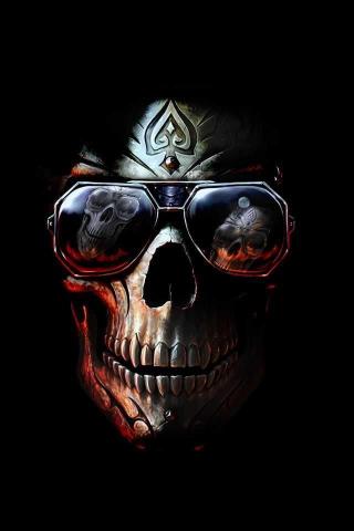 4k Skeleton Wallpaper Discover More Bones Framework Human