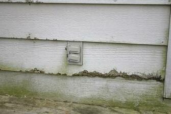 Definite Signs Your Wood Siding Is In Need Of Repair Or Replacement