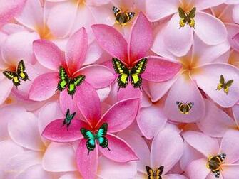 Girly Background Wallpaper HD Background Desktop