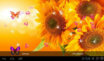 3d Sunflower Wallpaper Android Market