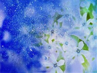 Most Beautiful Flower Wallpaper