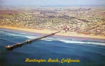 Tangled Trees Huntington Beach California