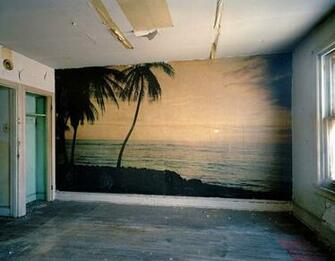 Palm Trees Almost Paradise
