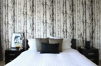 Nature Depicted On Your Walls Birch Tree Wallpaper