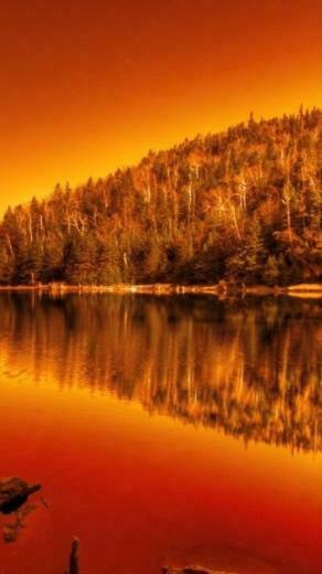 Landscapes Nature Trees Scenic Lakes Reflections Wallpaper