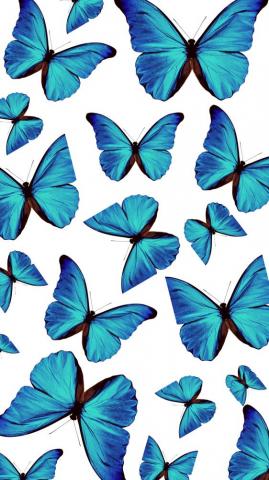 Blue Aesthetic Wallpaper Butterfly