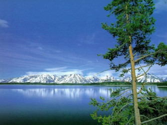 Natural Scene Wallpaper