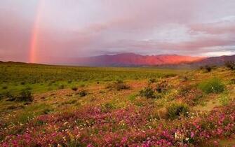 Rainbow Natural Beauty Photography Wallpaper
