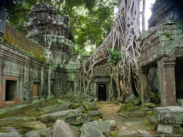 Ta Prohm Ruins Photo Travel Wallpaper National