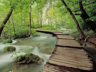 Cool Wallpaper Natural Scenes