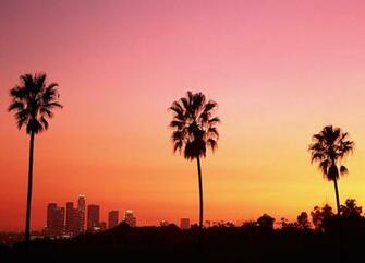 California Los Angeles Skyline And Palm Trees At Sunset By