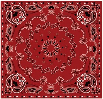 Paisley Bandana Red Heart Pattern Vector