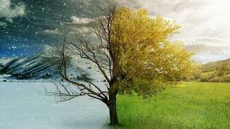 Half Winter Summer Season HD Wallpaper