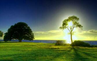Fondo Escritorio Paisaje Campo Amanecer