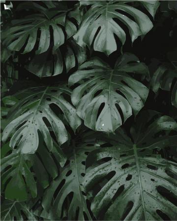Plantss Plant Wallpaper Rose Trees Plants